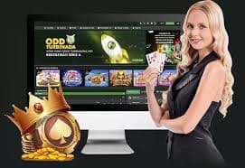 bet24